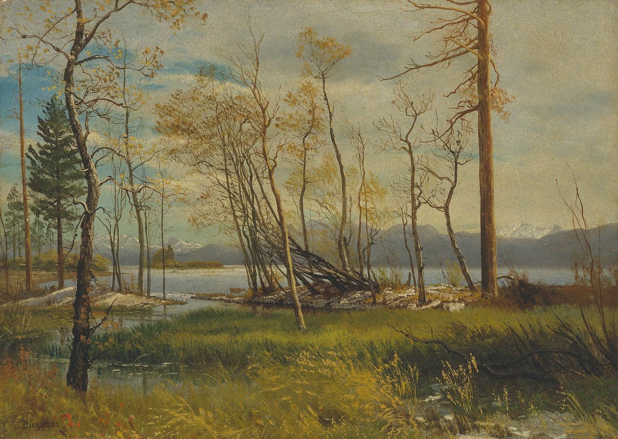 Tahoe-järvi tekijältä Albert Bierstadt
