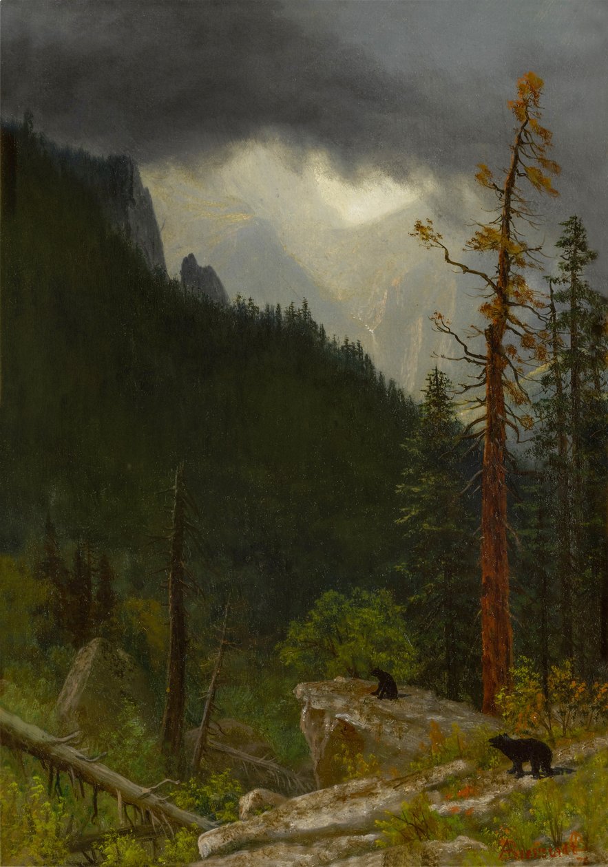 Rockies myrskyn jälkeen tekijältä Albert Bierstadt