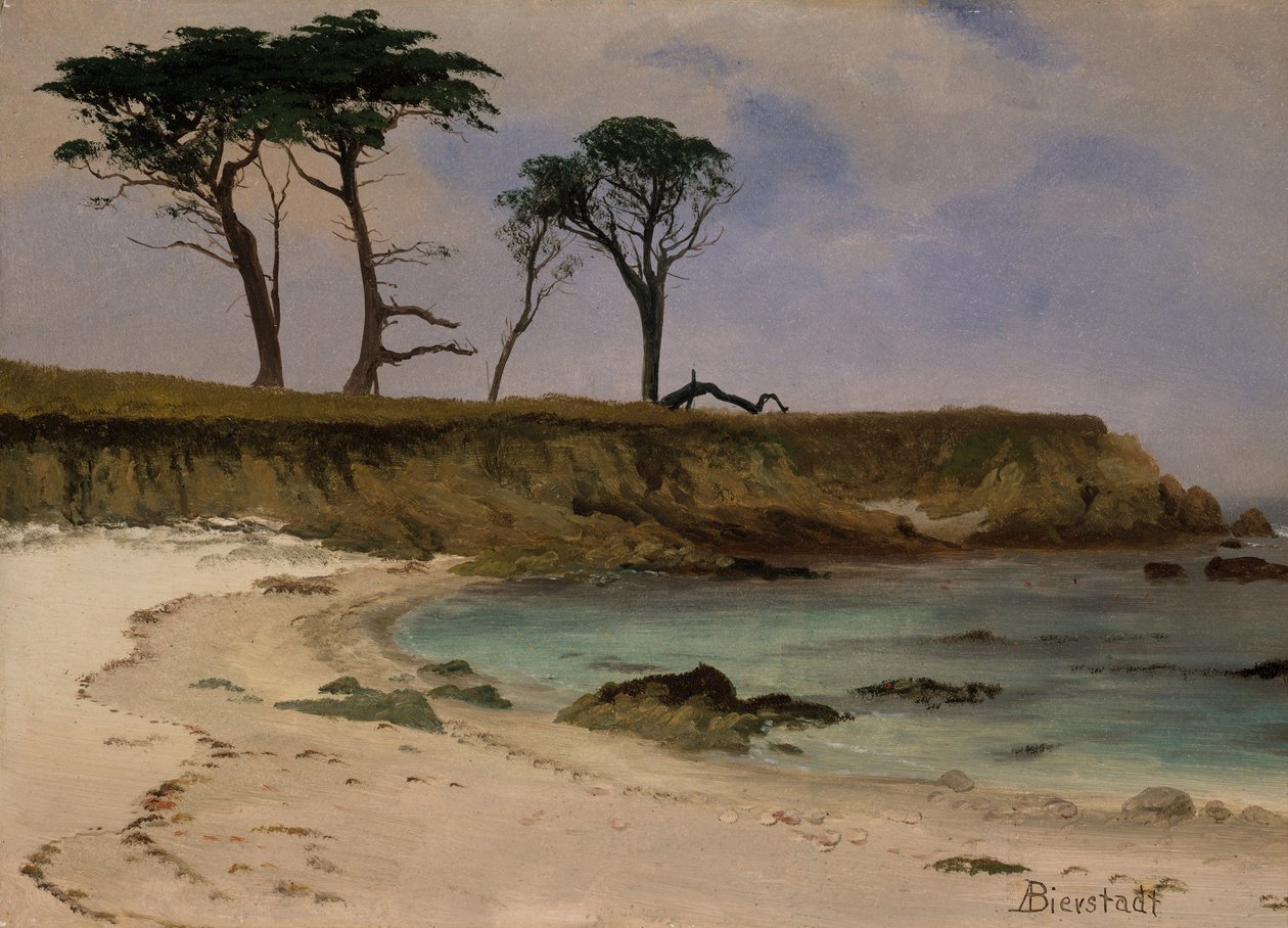 Sea Cove tekijältä Albert Bierstadt