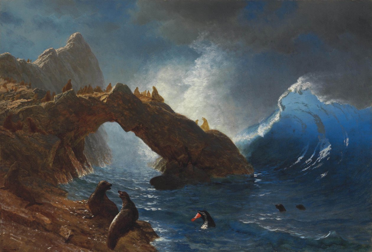 Hylkeet kallioilla tekijältä Albert Bierstadt