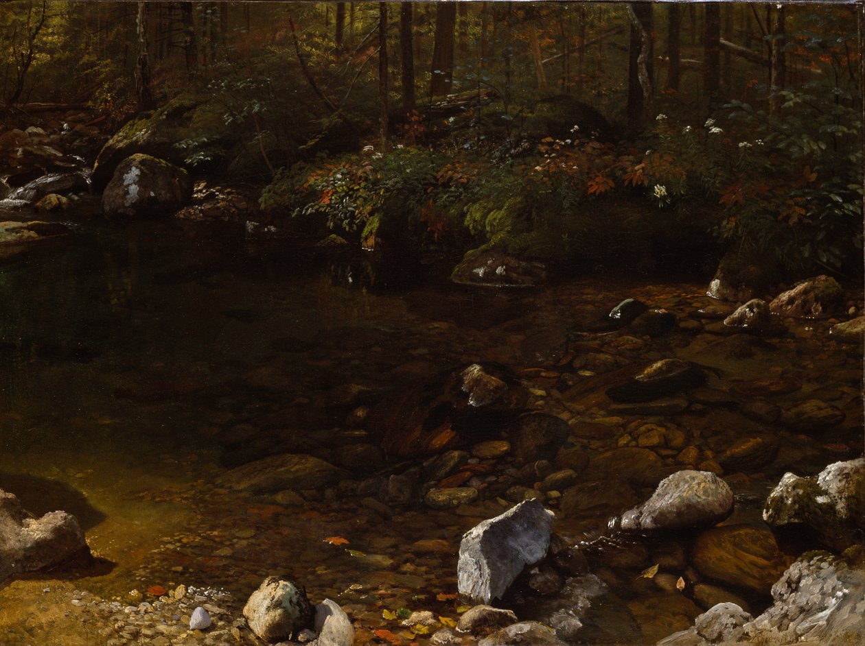 Varjoisa lampi, White Mountains, New Hampshire tekijältä Albert Bierstadt