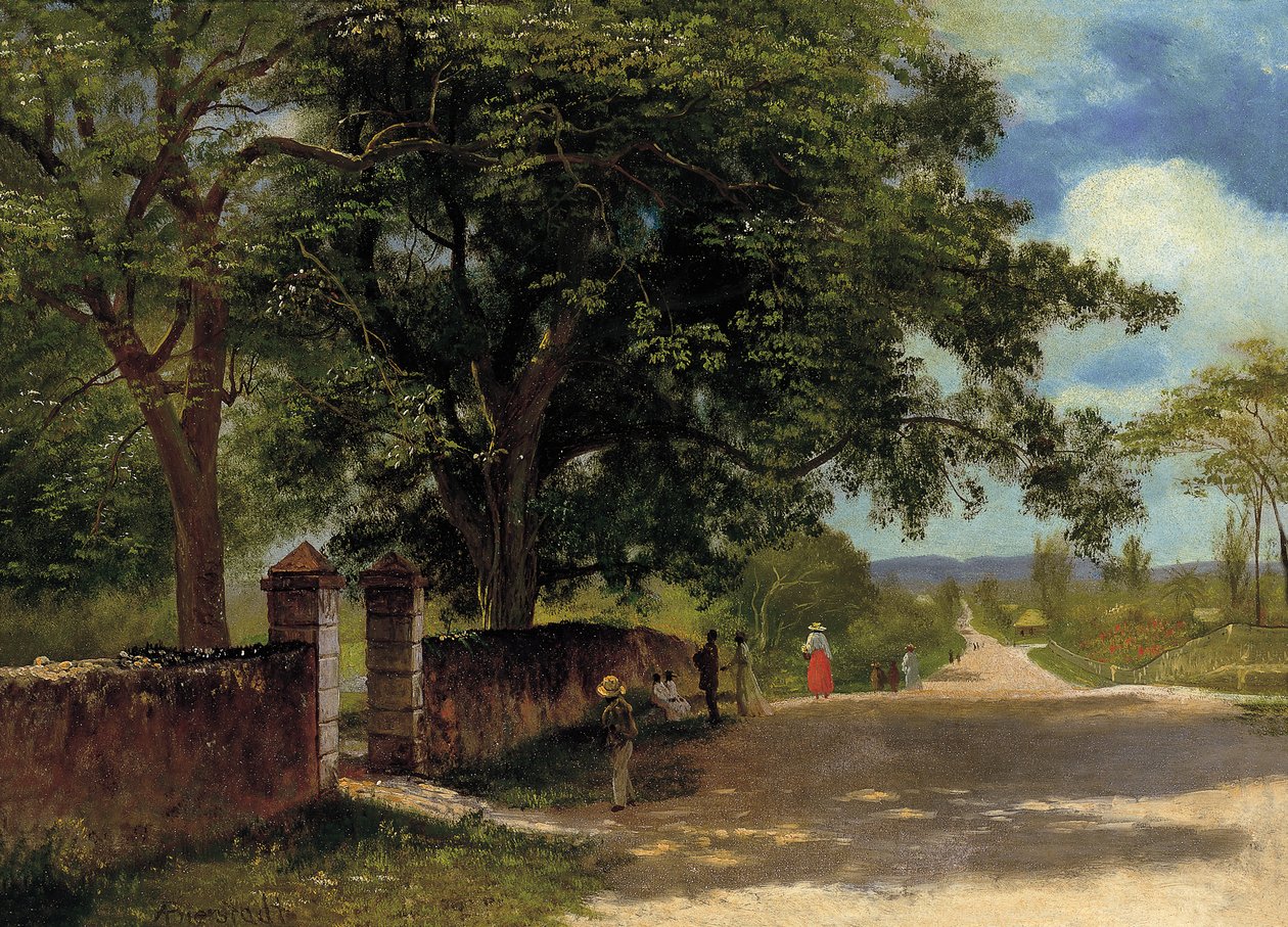 Katu Nassaussa tekijältä Albert Bierstadt