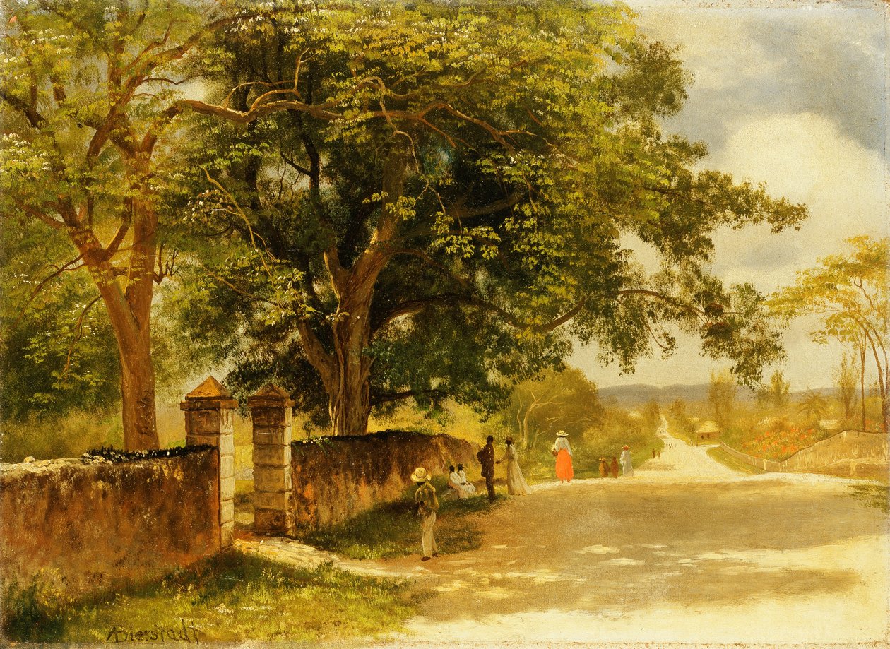 Katu Nassaussa, noin 1878 tekijältä Albert Bierstadt