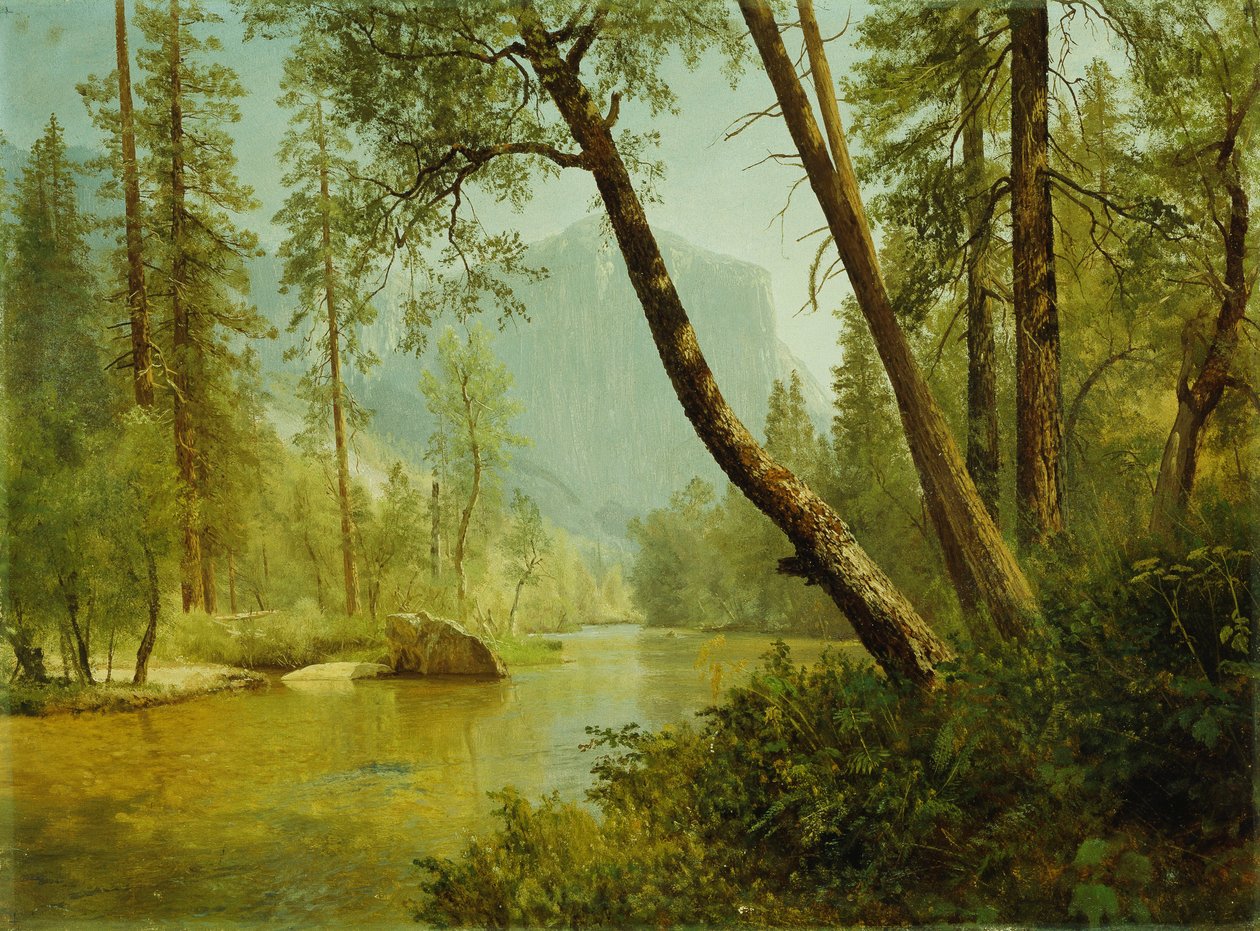 Auringonpaistettu metsä tekijältä Albert Bierstadt