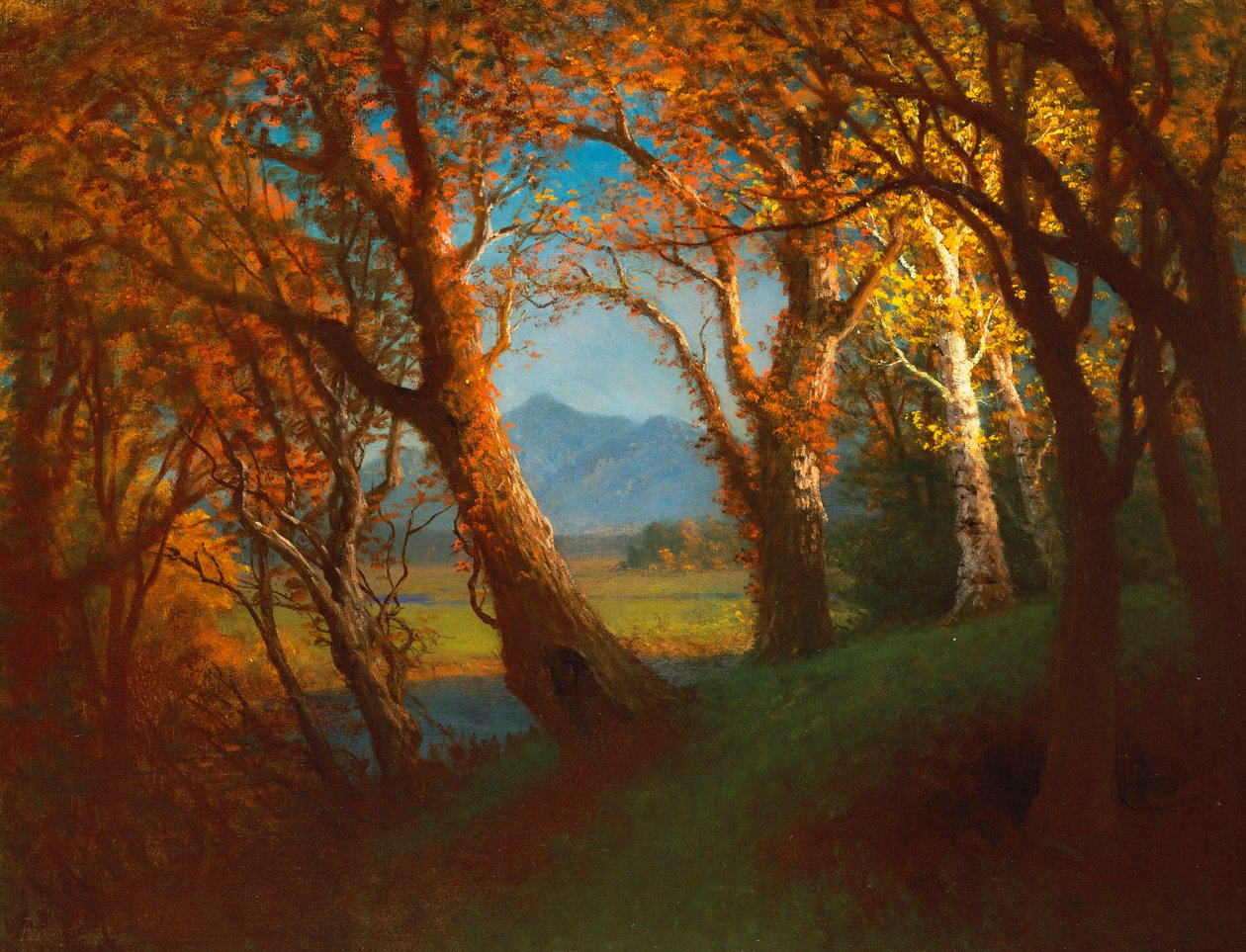 Auringonlasku Nebraskan alueella tekijältä Albert Bierstadt
