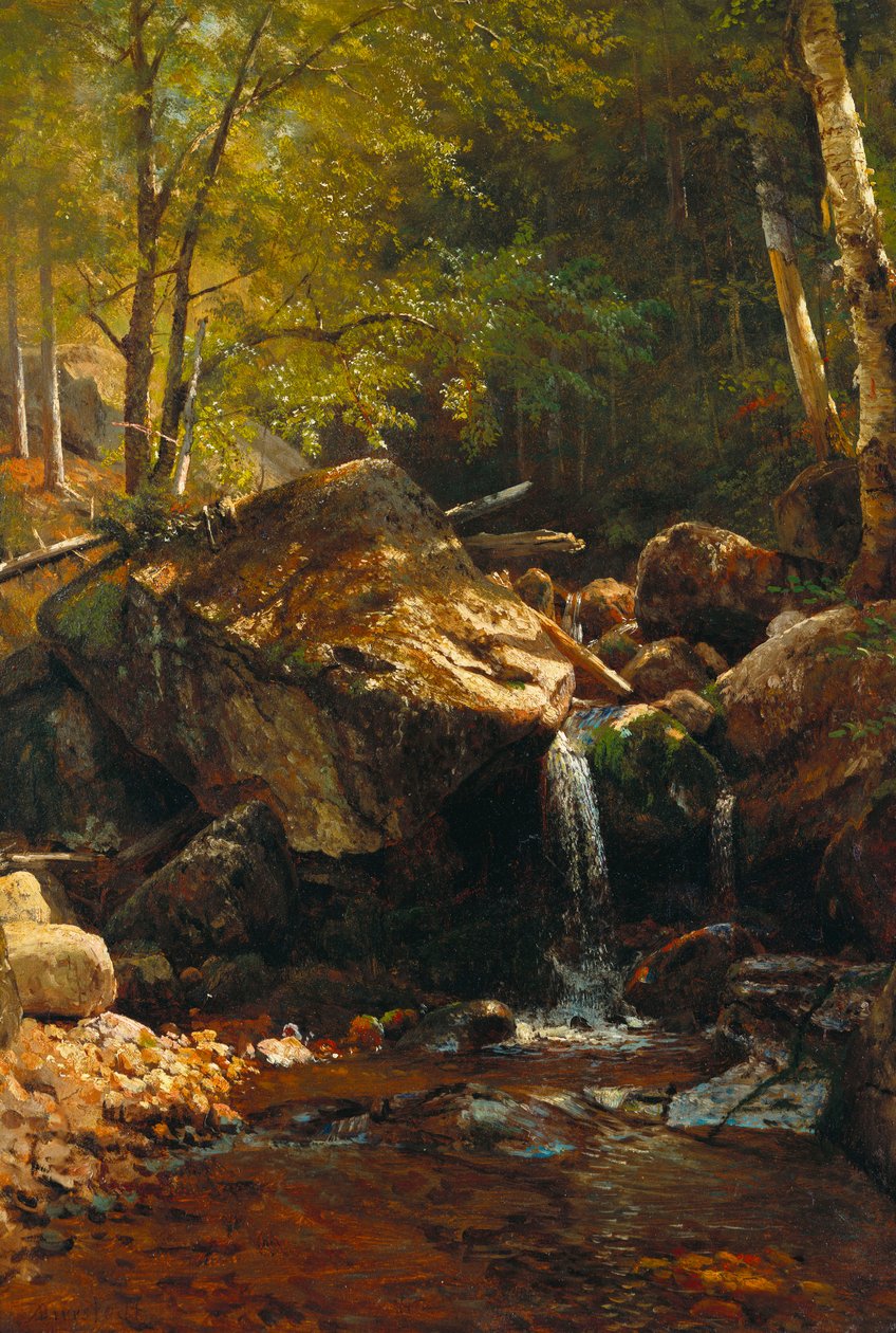 Thompson Cascade, White Mountains tekijältä Albert Bierstadt