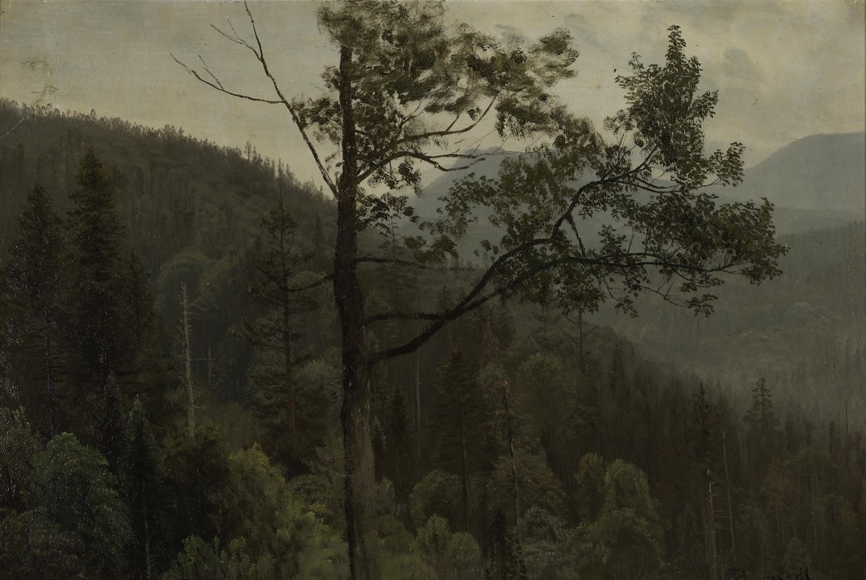 Puiden peittämät vuoret tekijältä Albert Bierstadt