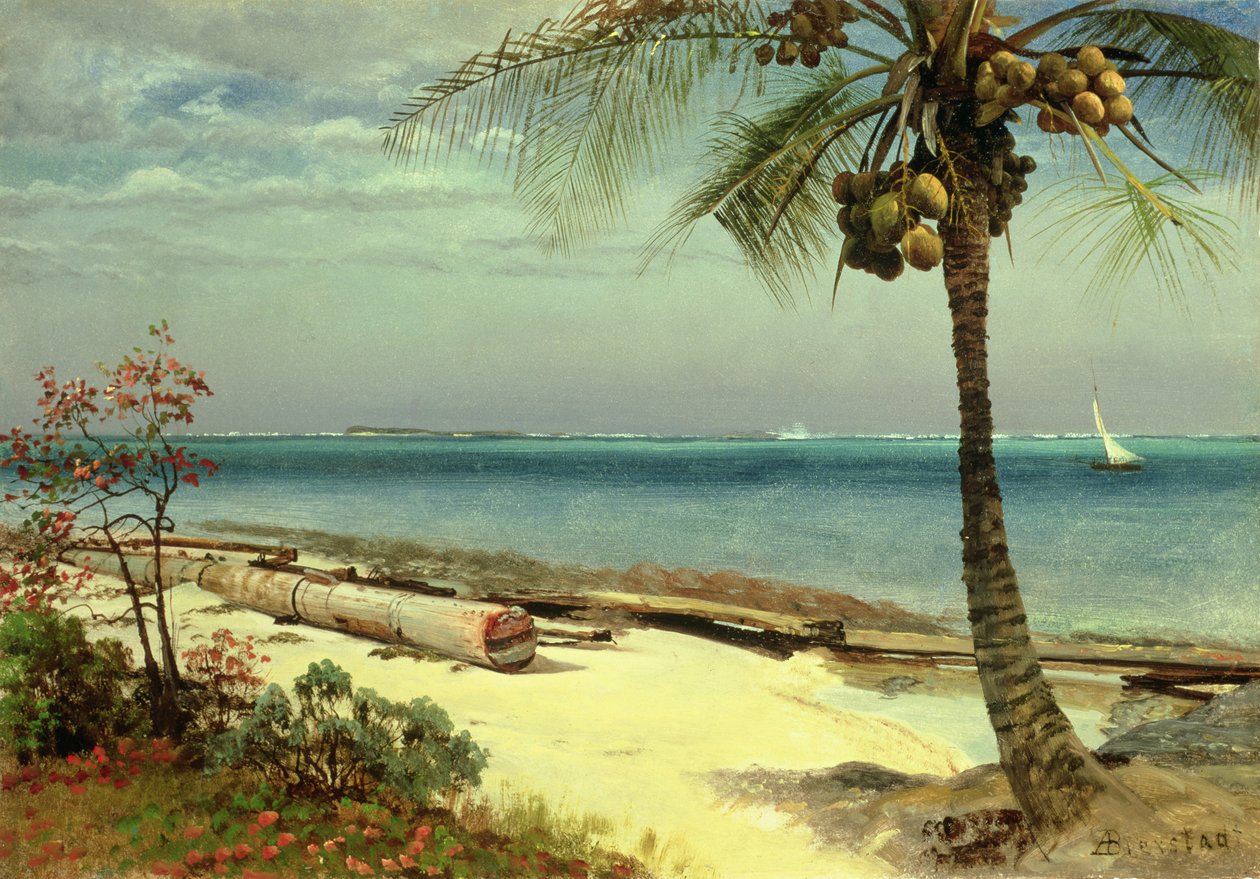 Tuntematon kuva tekijältä Albert Bierstadt