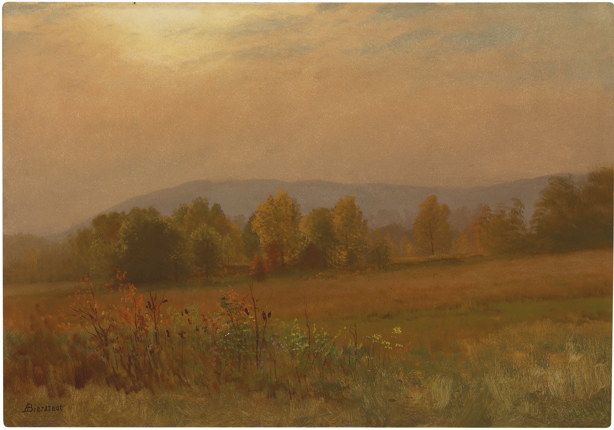 Tuntematon kuva tekijältä Albert Bierstadt