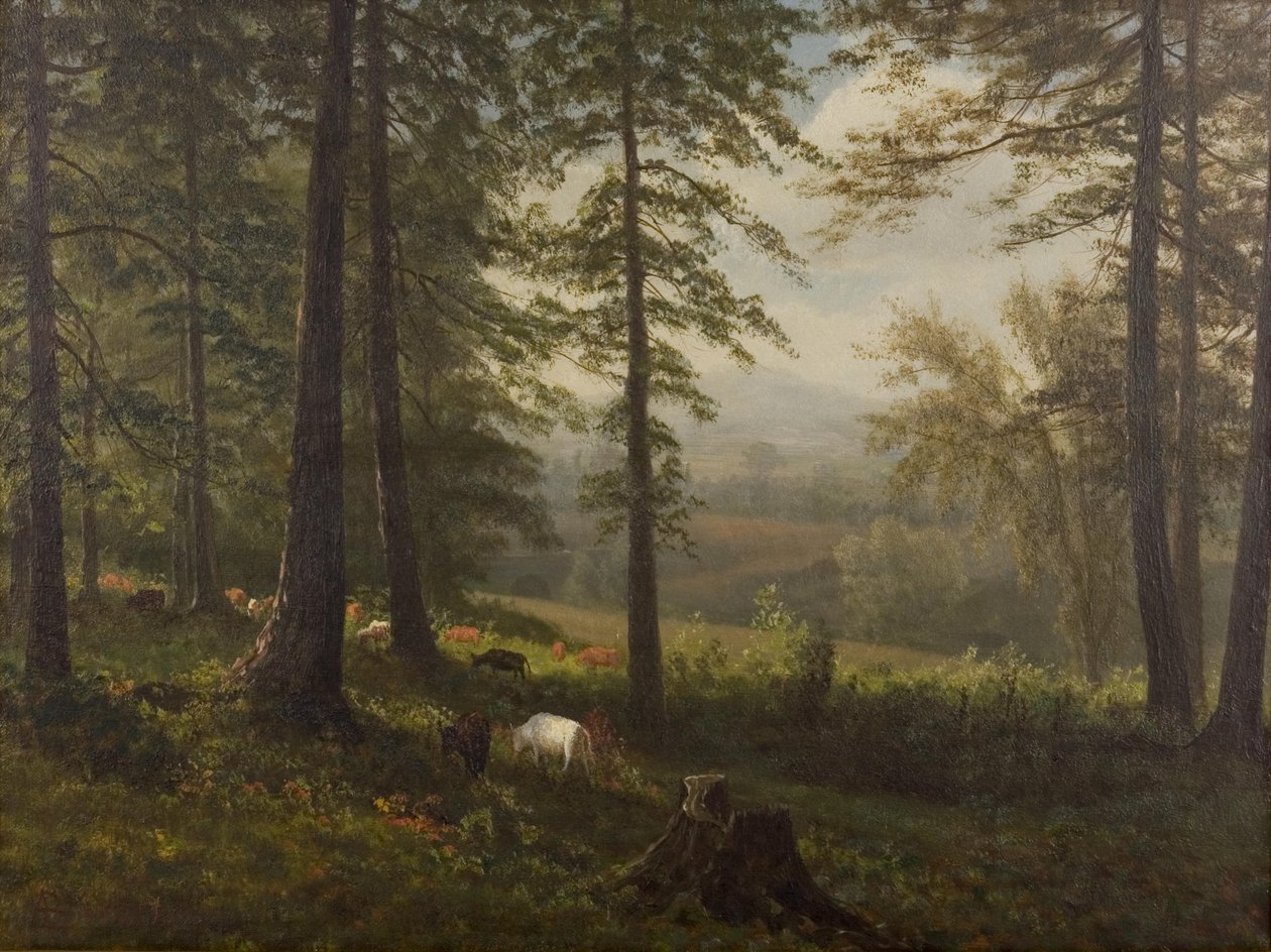 Näkymä selvitykseen tekijältä Albert Bierstadt
