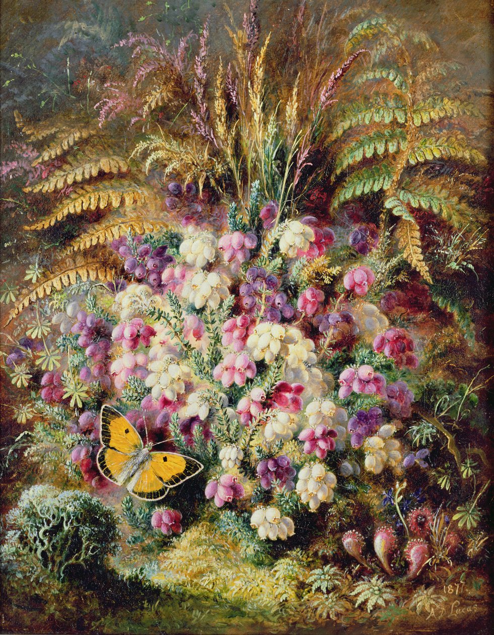 Bell Heather, 1877 tekijältä Albert Durer Lucas