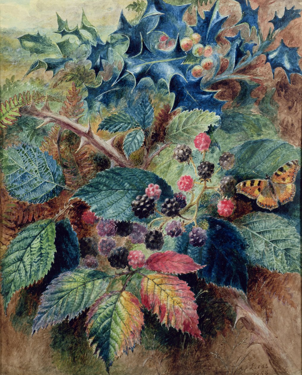 Karhunvatukat ja Holly perhosen kanssa tekijältä Albert Durer Lucas