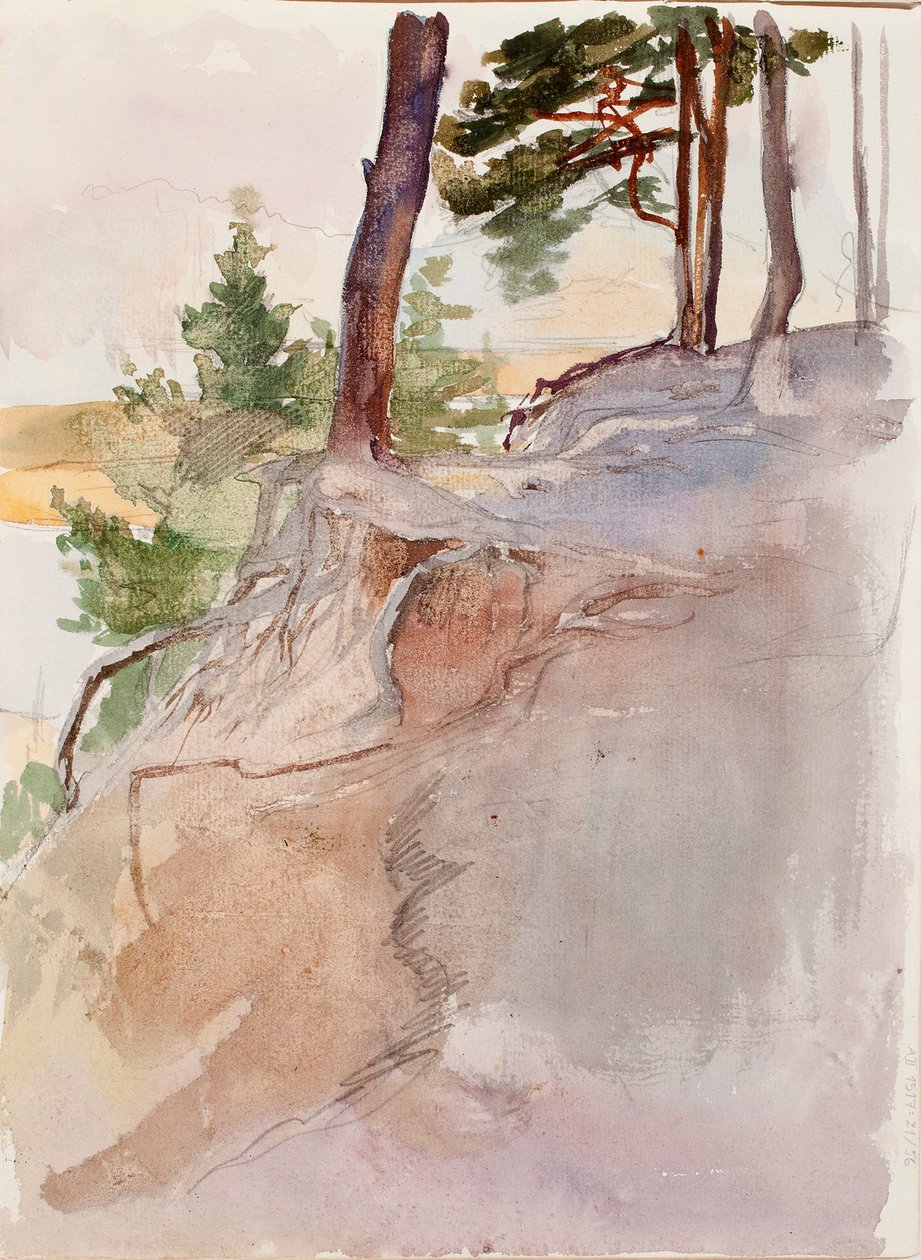 Nimetön tekijältä Albert Edelfelt