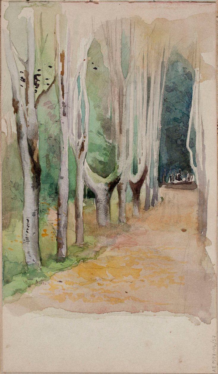 Nimetön tekijältä Albert Edelfelt