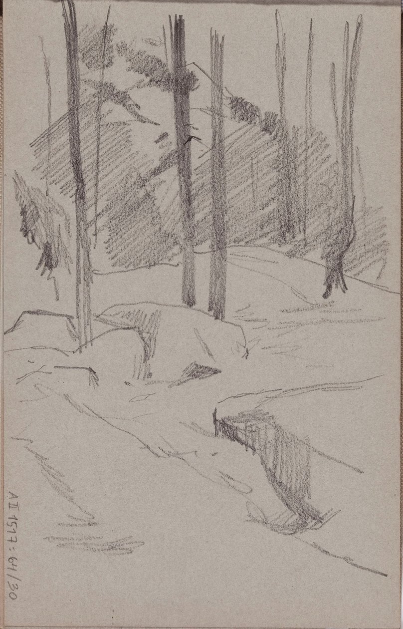 Nimetön tekijältä Albert Edelfelt