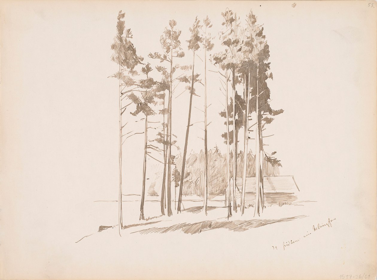 Nimetön tekijältä Albert Edelfelt