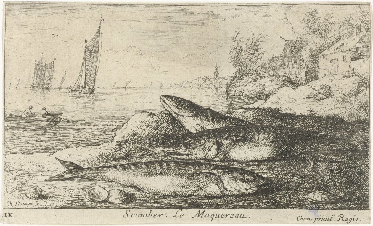 Kolme makrillia rannalla Scomber. Le Maquereau. (otsikko esineessä) Kalat ja muut meren eläimet - suolaisen veden ensimmäinen sarja (sarjan nimi) Diverse Especes de Poissons de mer (sarjan nimi) tekijältä Albert Flamen