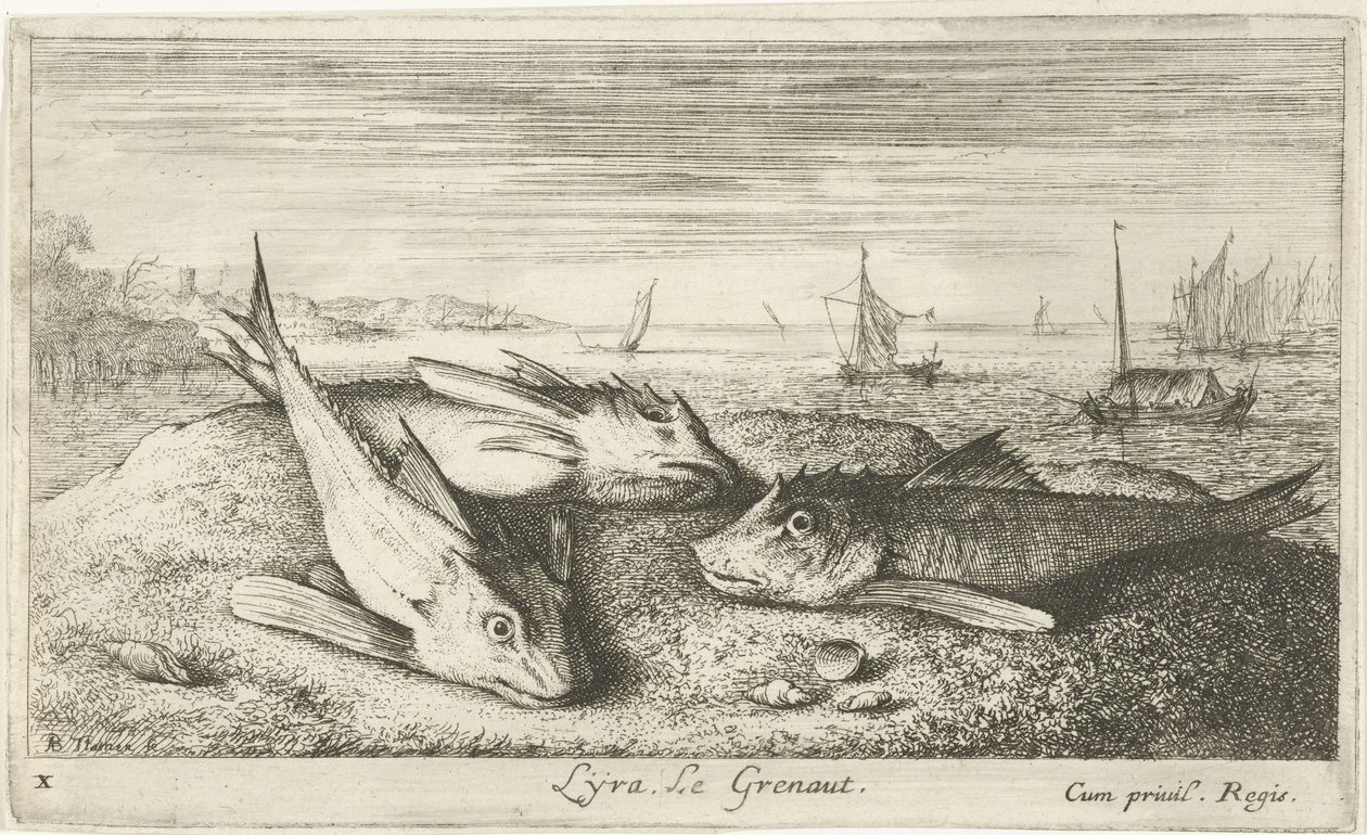 Kolme suolaisen veden kalaa rannalla Lyta, Le grenaut. (otsikko esineessä) Kalat ja muut meren eläimet - suolaisen veden ensimmäinen sarja (sarjan nimi) Diverse Especes de Poissons de mer (sarjan nimi) tekijältä Albert Flamen