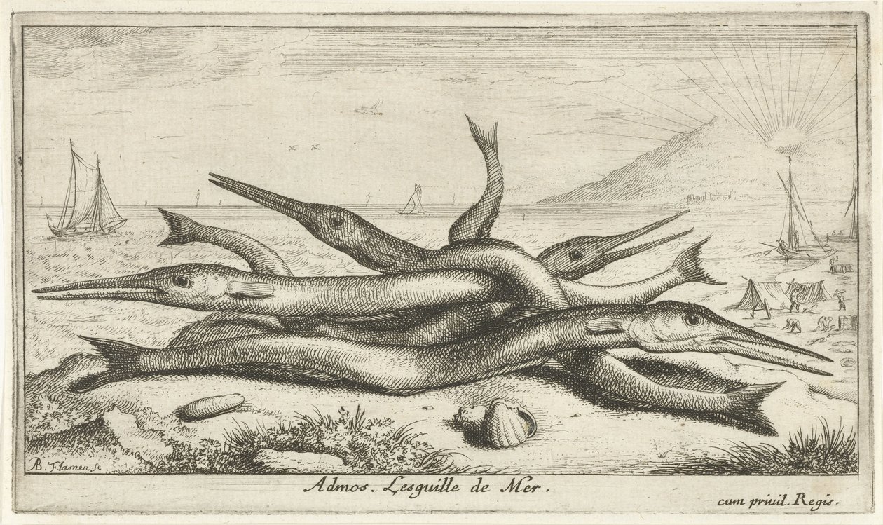 Nokkakalaa rannalla Admos. Lesguille de Mer. (otsikko kohteen päällä) Kalat ja muut meren eläimet – Saltwater Third Series (sarjan nimi) Poissons de mer (sarjan nimi) tekijältä Albert Flamen