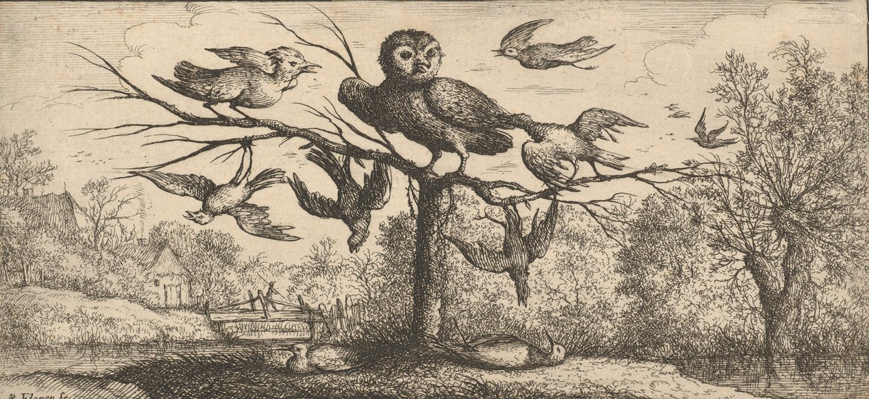 Monedula, Chouëtte Pöllö: Livre d