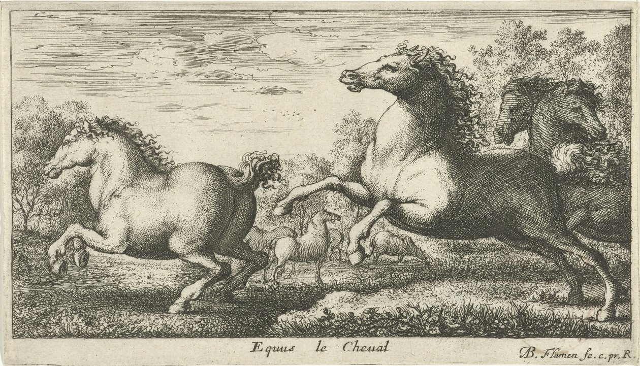 Hevoset Equus le Cheval (otsikko esineessä) Eri eläinlajit (sarjan nimi) tekijältä Albert Flamen