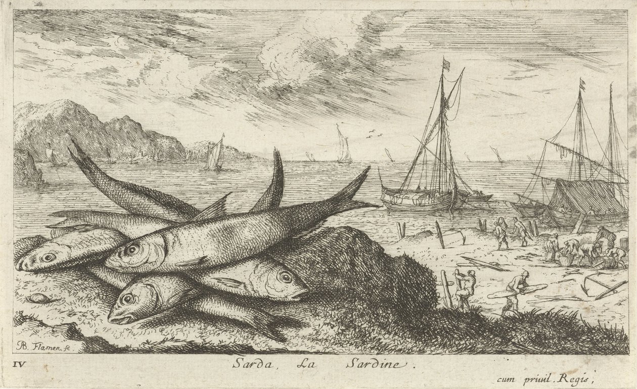 Sardiinit rannalla Sarda, La Sardine. (otsikko esineessä) Kalat ja muut meren eläimet - suolaisen veden ensimmäinen sarja (sarjan nimi) Diverse Especes de Poissons de mer (sarjan nimi) tekijältä Albert Flamen