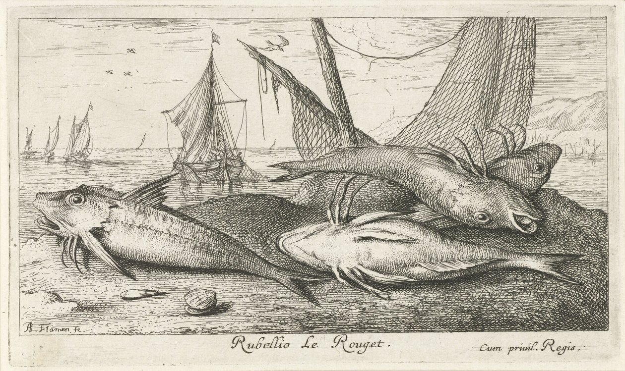 Neljä punaista kelttiä rannalla Rubellio Le Rouget. (otsikko esineessä) Kalat ja muut meren eläimet - suolaisen veden toinen sarja (sarjan nimi) Poissons de mer (sarjan nimi) tekijältä Albert Flamen