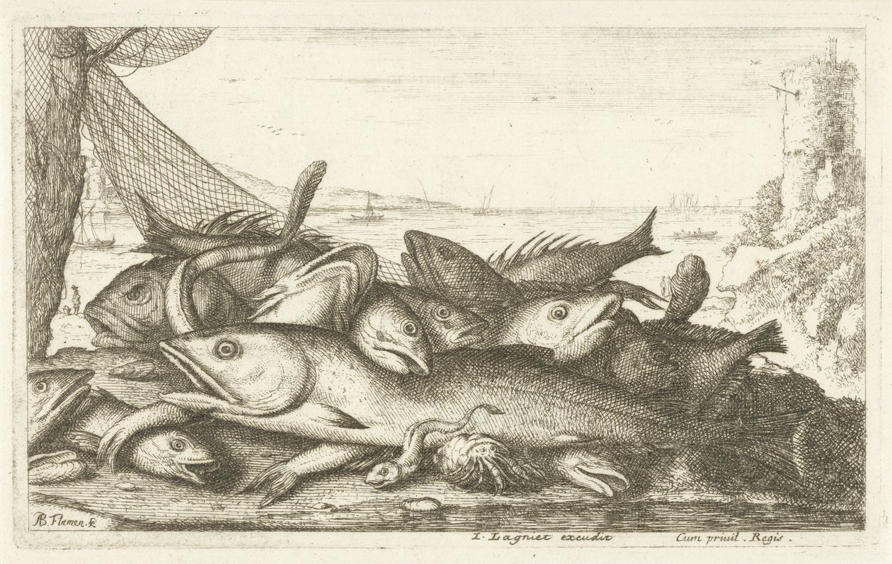 Erakkoravun kalastus Eri kalalajit (sarjan nimi) Diverse Especes De Poissons tant de Mer, que d