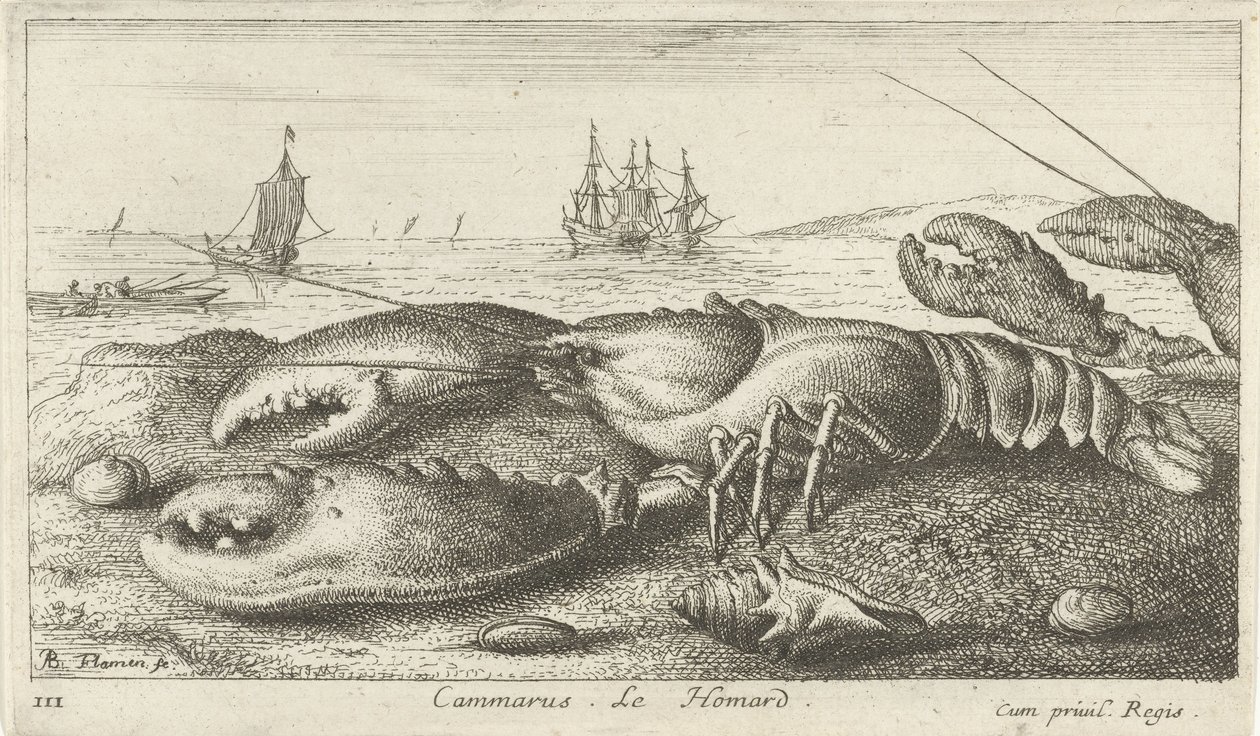 Hummeri rannalla Cammarus. Le Homard (otsikko esineessä) Kalat ja muut meren eläimet - suolaisen veden ensimmäinen sarja (sarjan nimi) Monipuoliset Especes de Poissons de mer (sarjan nimi) tekijältä Albert Flamen