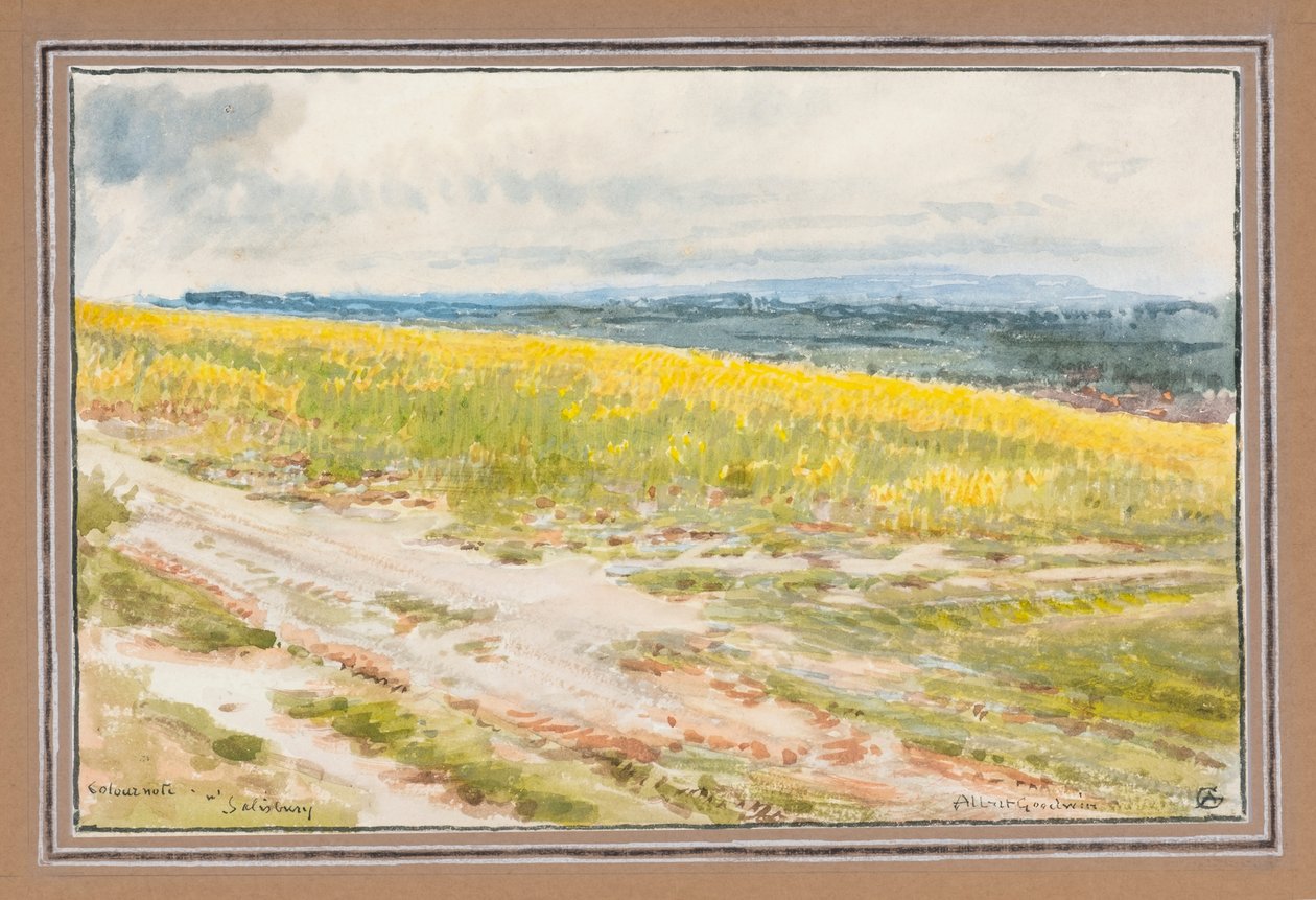 Värihavainto nr Salisbury (akvarelli) tekijältä Albert Goodwin