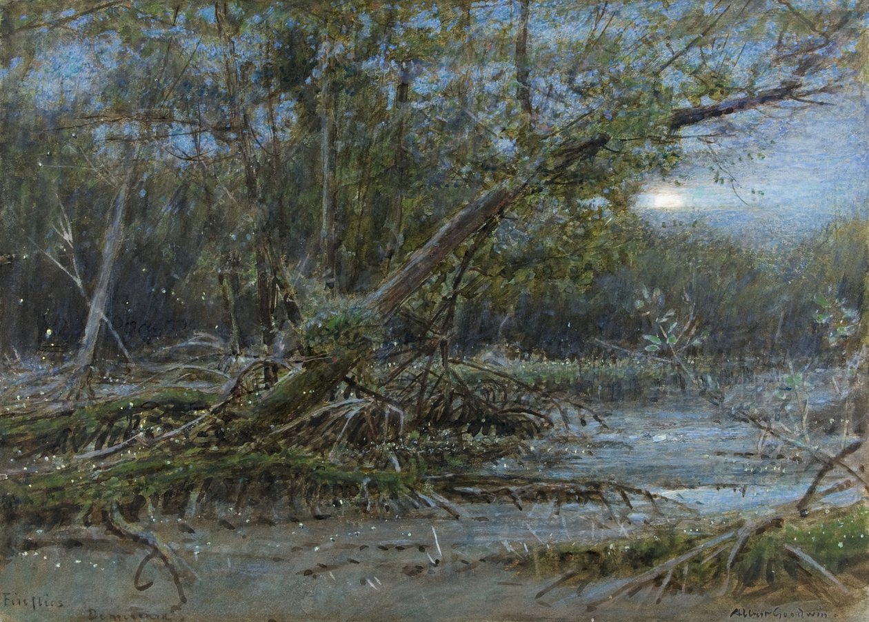 Fireflies, Demerera, n. 1902 (w/c ja vartalon väri paperilla) tekijältä Albert Goodwin