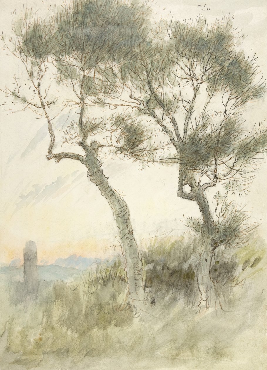 Kahden puun tutkimus tekijältä Albert Goodwin