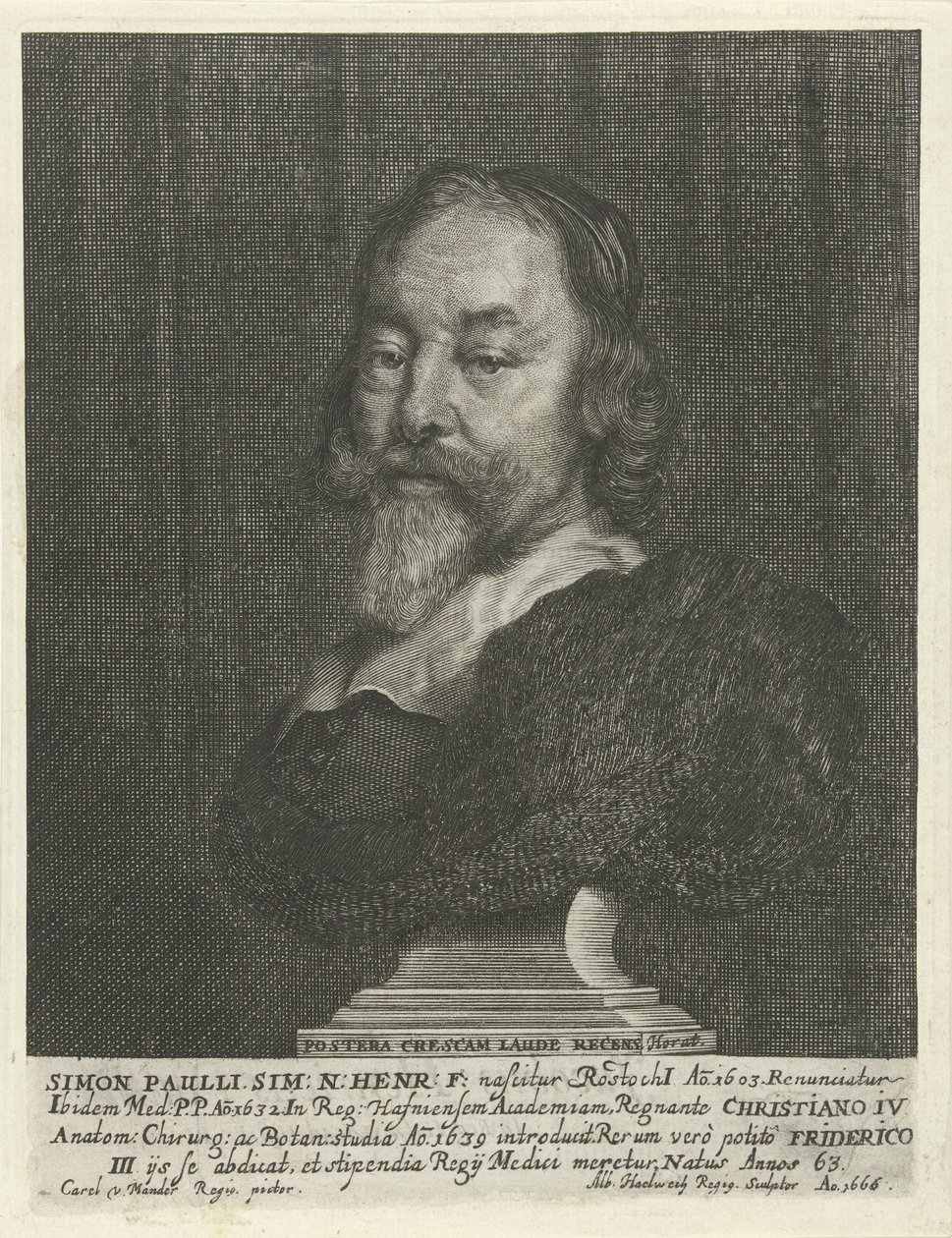 Buste van Simon Paulli tekijältä Albert Haelwegh