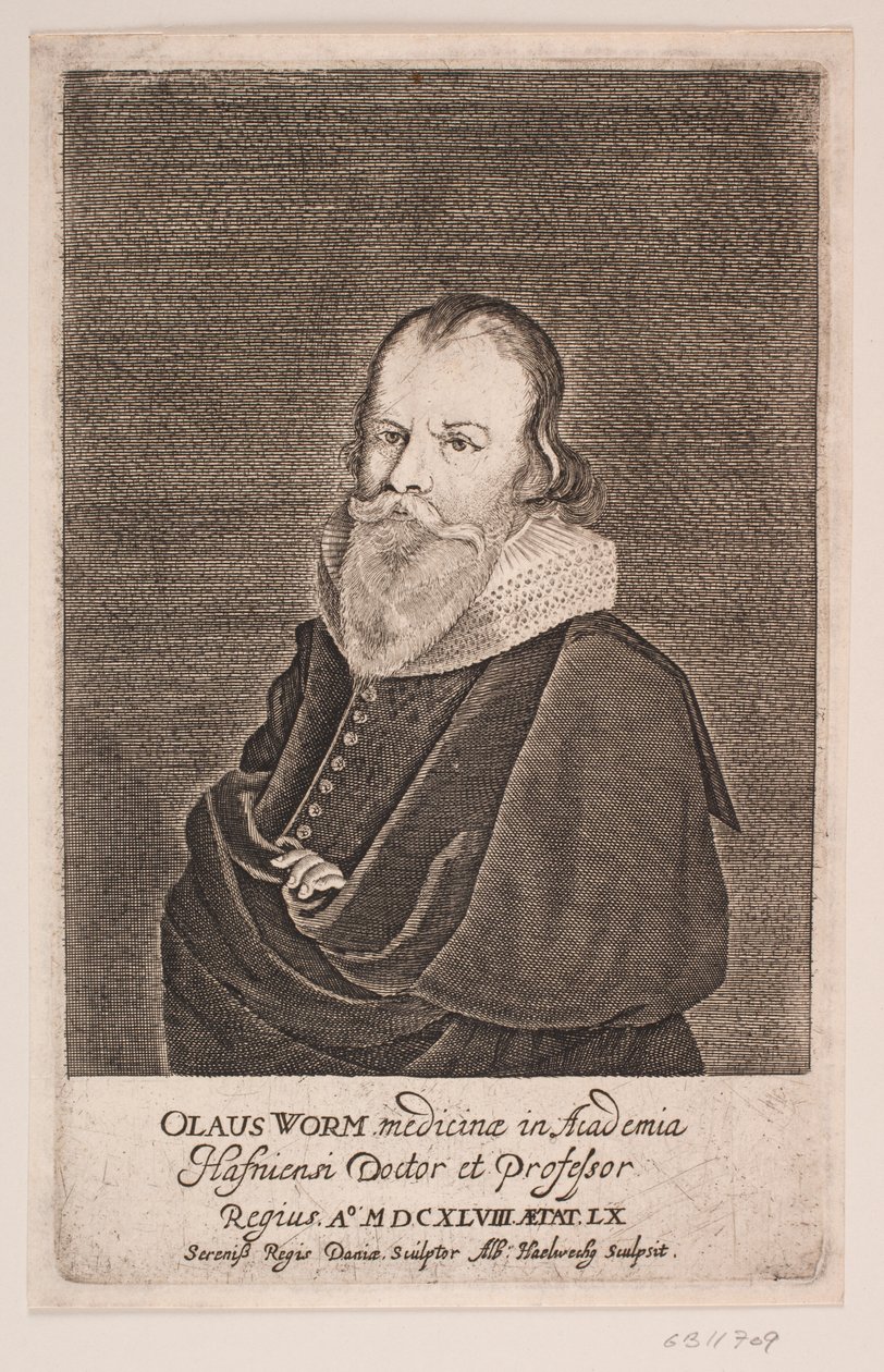 Ole Worm tekijältä Albert Haelwegh