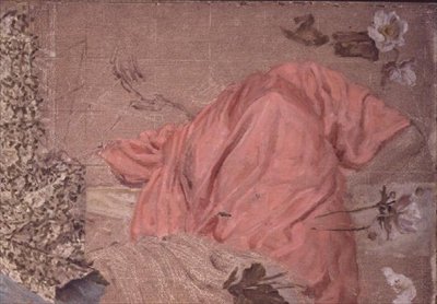 Tutkimus päällystetystä hahmosta ja kukista tekijältä Albert Joseph Moore