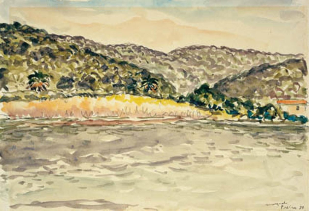 Rannikkomaisema Île de Port Crosissa tekijältä Albert Marquet