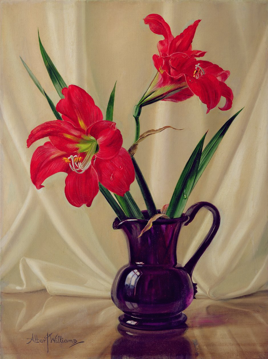 Amaryllis Liljat, tummassa lasikannussa tekijältä Albert Williams