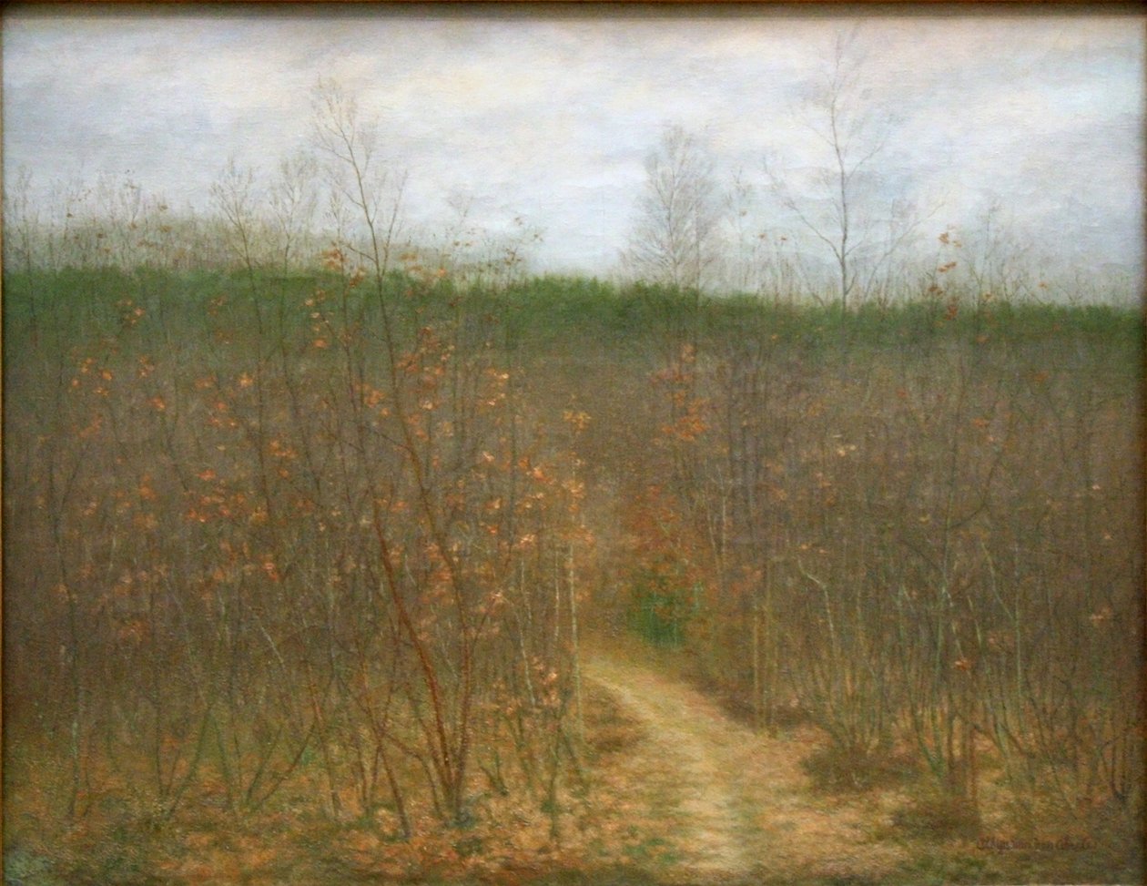 Coppice Sint-Martens-Latemissa tekijältä Albijn Van den Abeele
