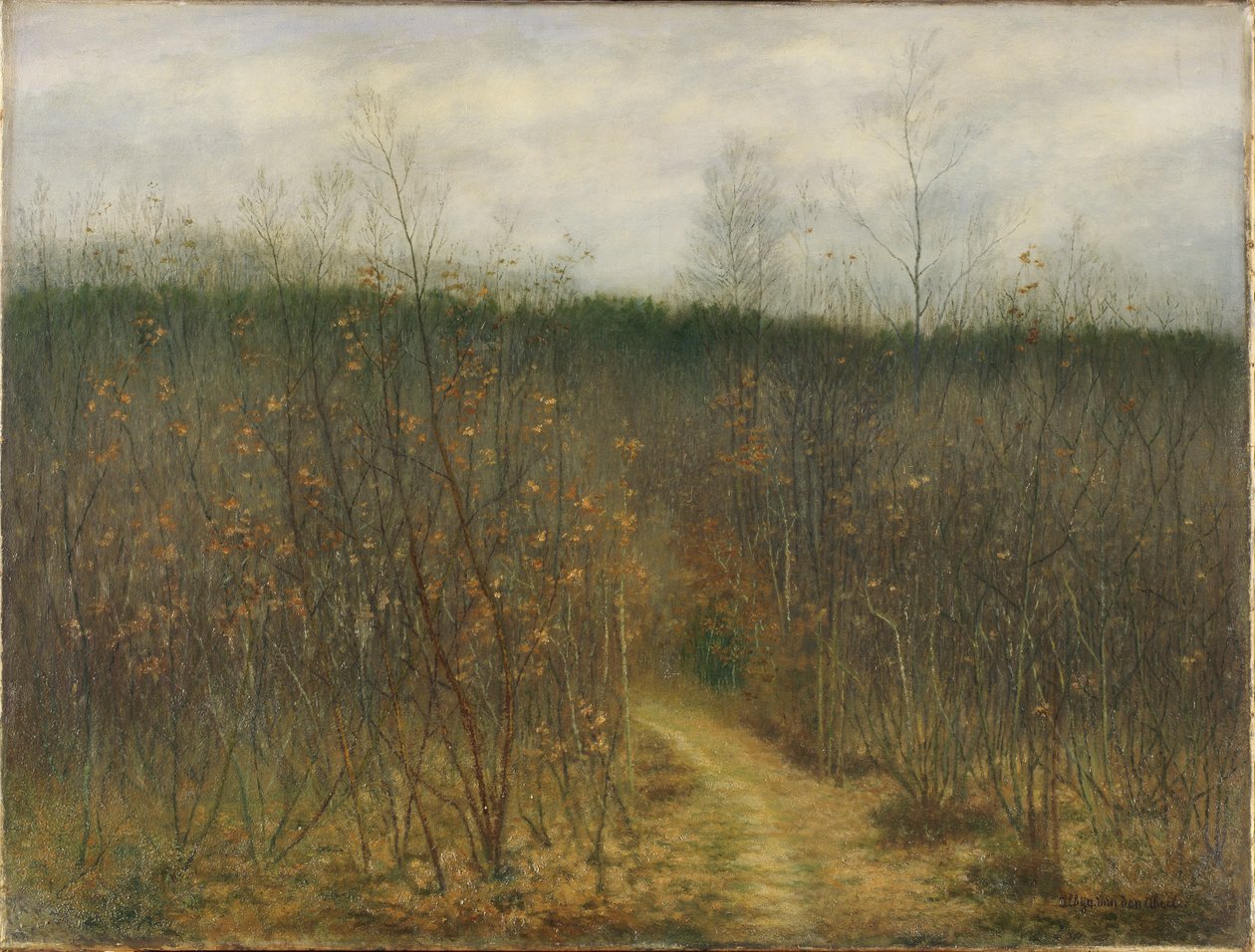Coppice Sint-Martens-Latemissa tekijältä Albijn Van den Abeele