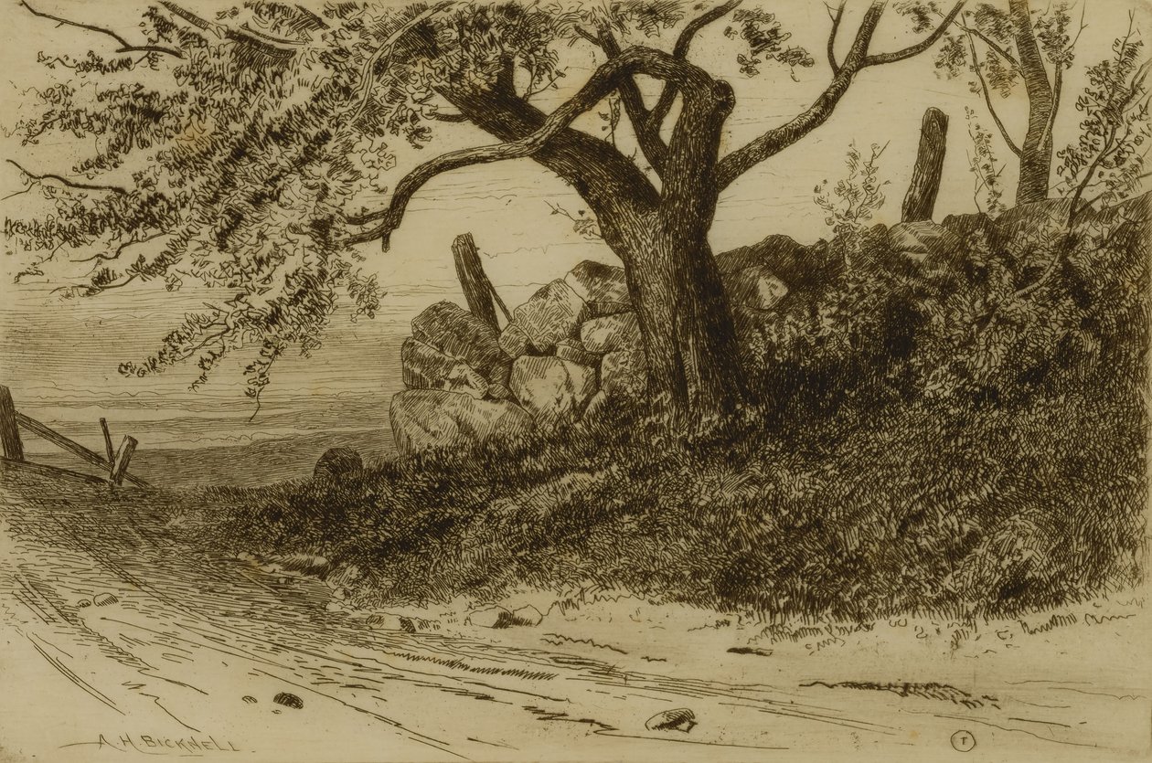 Country Road tekijältä Albion Harris Bicknell