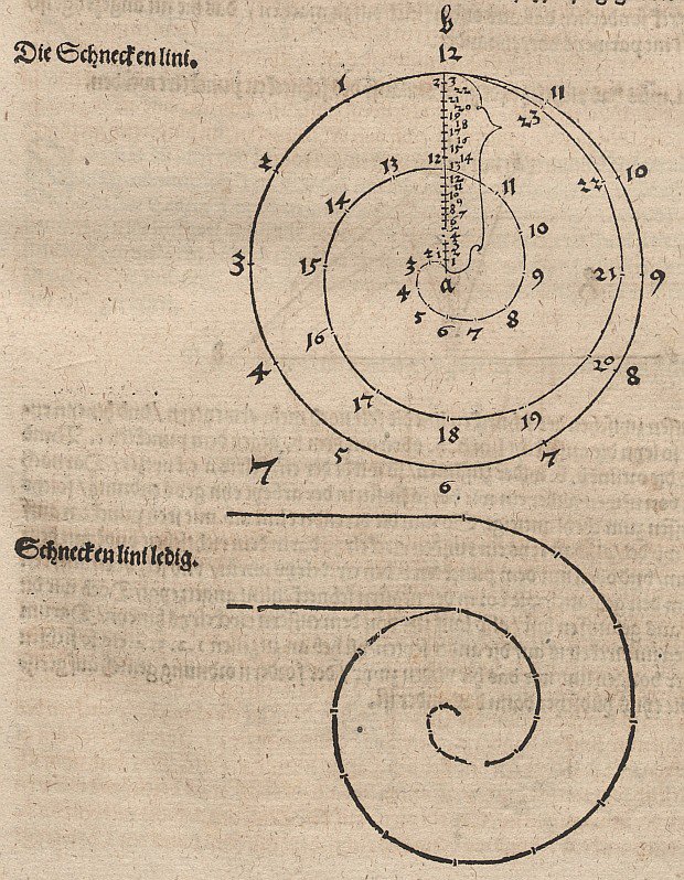 Archimedische Spirale tekijältä Albrecht Dürer