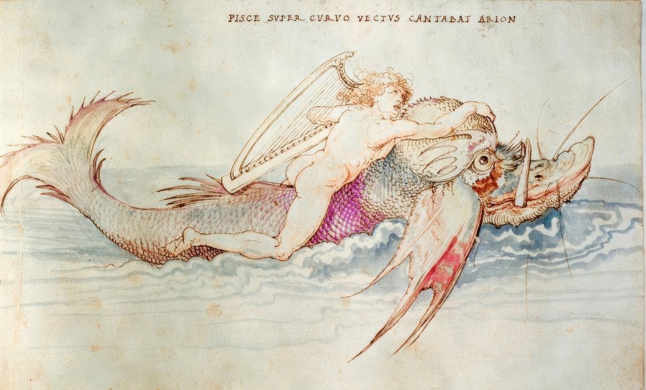 Arion wird einem Delphin gerettet tekijältä Albrecht Dürer