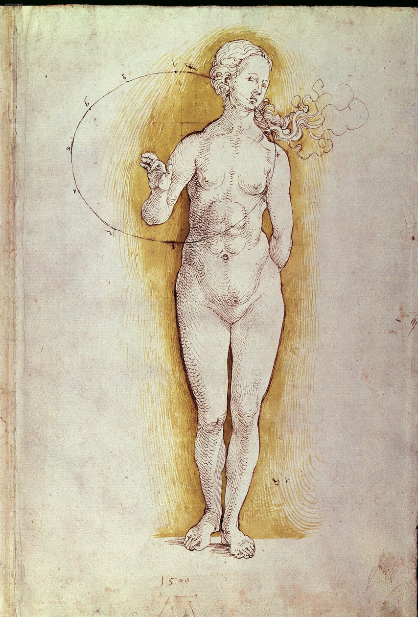 Nainen alaston (kynä ja muste paperille) tekijältä Albrecht Dürer