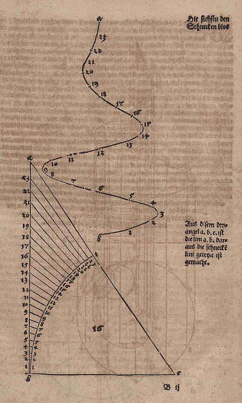 Konische Spirale ohne Hilfslinien tekijältä Albrecht Dürer