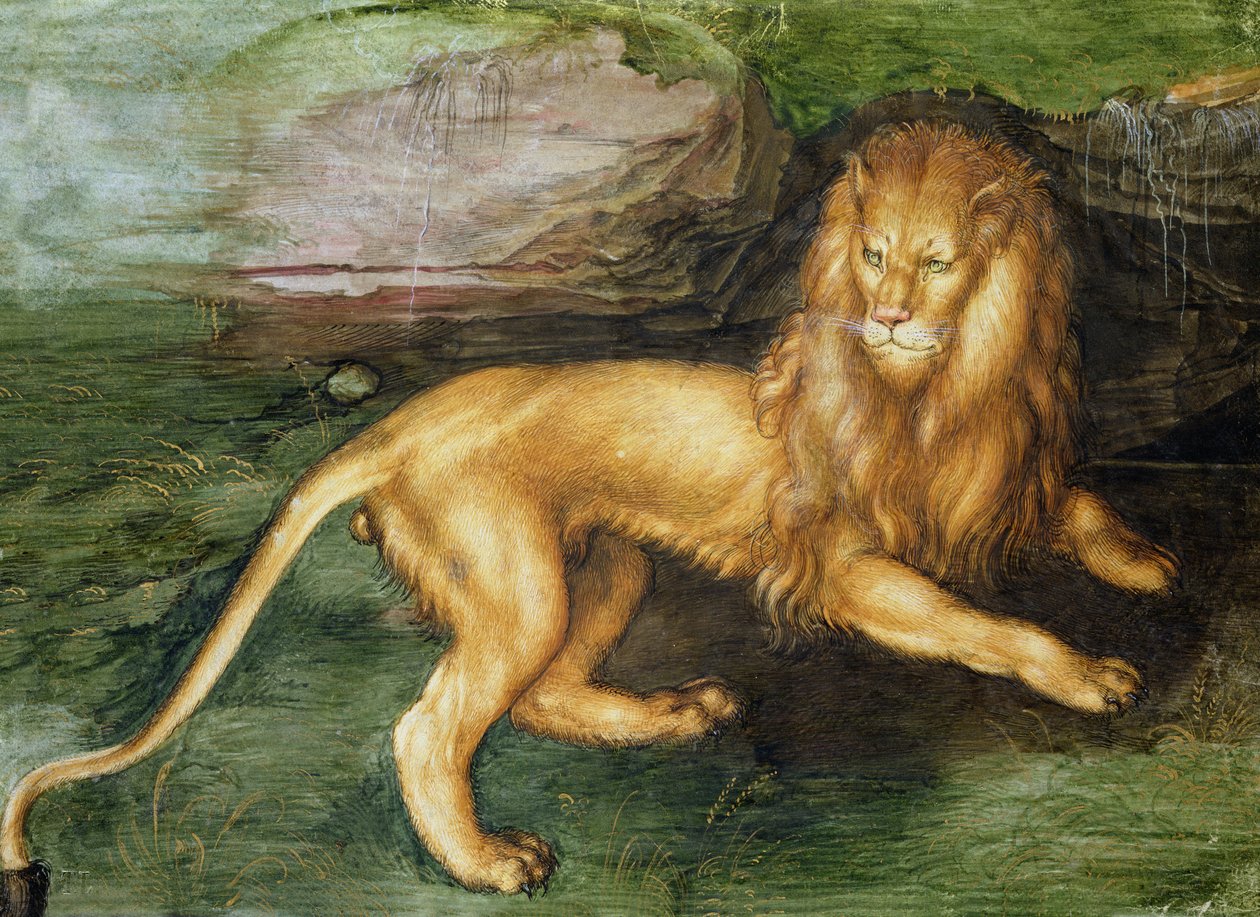 Leijona tekijältä Albrecht Dürer