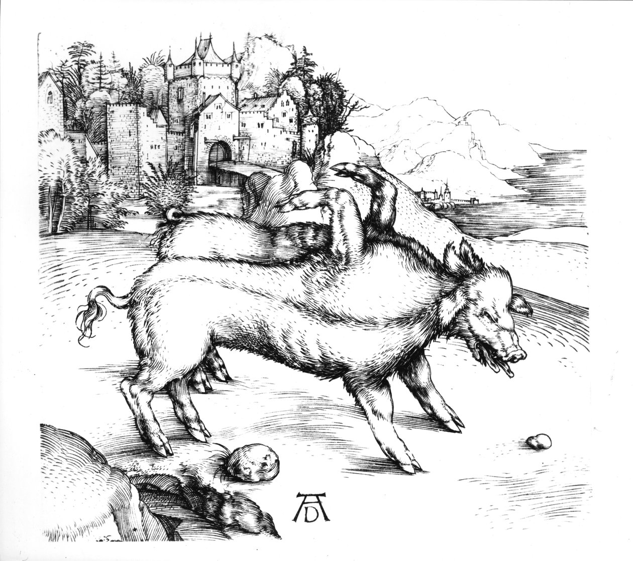 Hirviömäinen sika tekijältä Albrecht Dürer