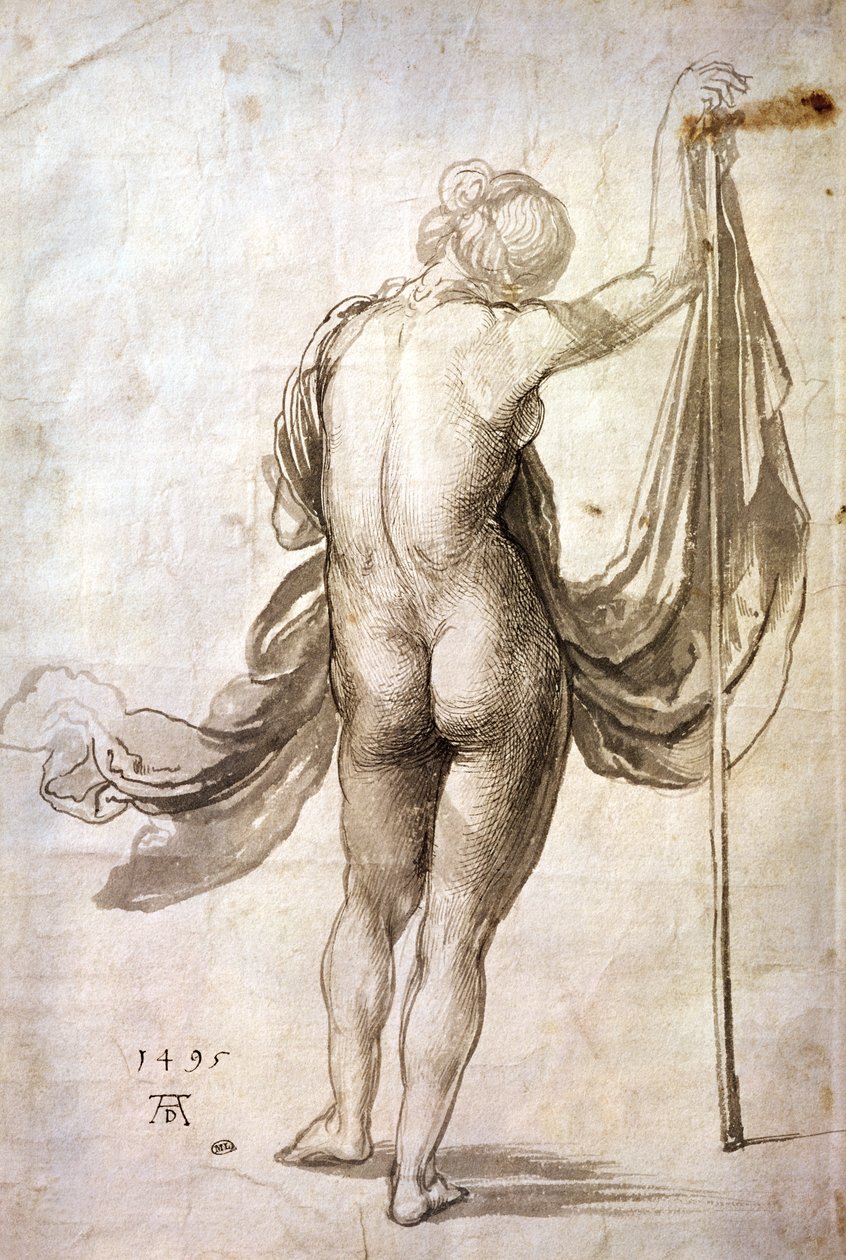 Nude Study tai alastonnainen takaa tekijältä Albrecht Dürer