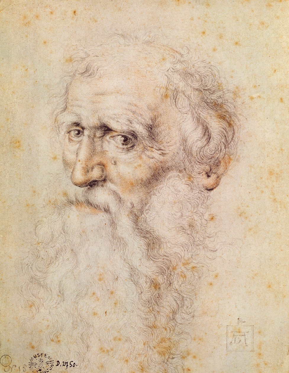 Muotokuva parrakkaasta vanhasta miehestä (punainen liitu ja pierre noire) tekijältä Albrecht Dürer
