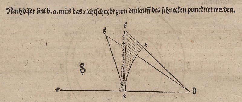 Tangens-Spirale ja Verwandte tekijältä Albrecht Dürer