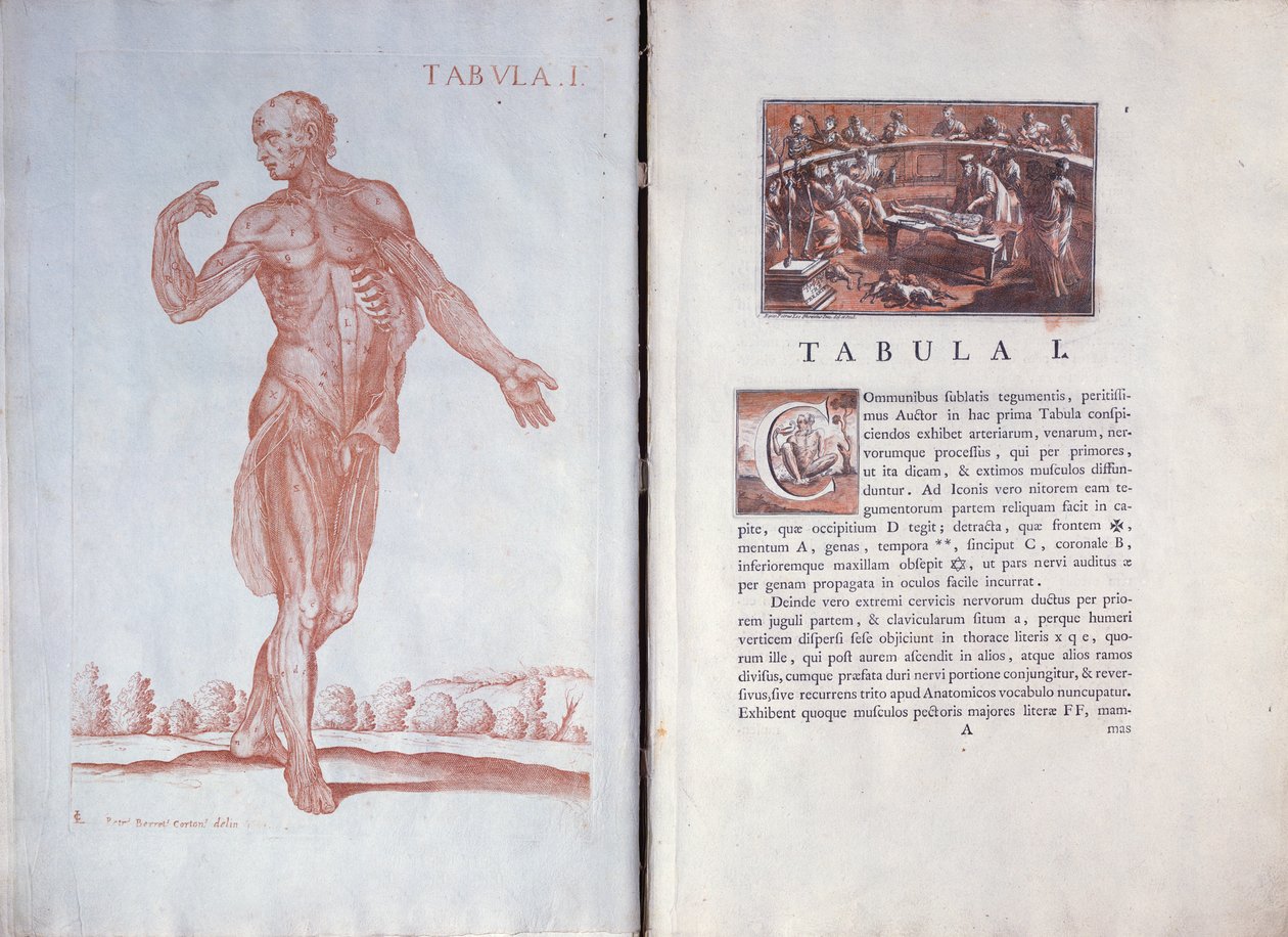 Jeesuksen Kristuksen liputus tekijältä Albrecht Dürer